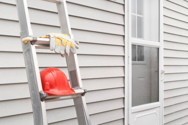 Best Shed Removal  in Cambridge, MD